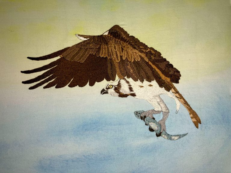Thread painting birds: an osprey project – Susan Palmer's Exquisite Now