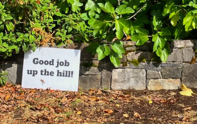 ‘Perfect’ neighborhood. Well, for me